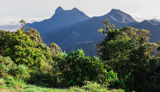 Uluguru Mountains
